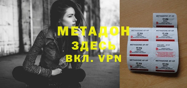 прущие грибы Гусиноозёрск