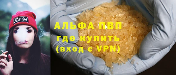 прущие грибы Гусиноозёрск