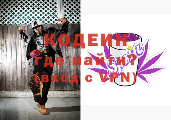 прущие грибы Гусиноозёрск