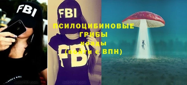 прущие грибы Гусиноозёрск