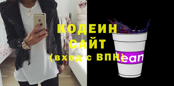 прущие грибы Гусиноозёрск