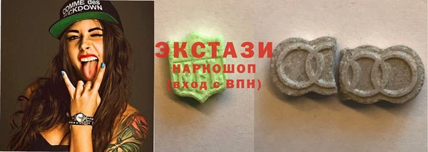 прущие грибы Гусиноозёрск