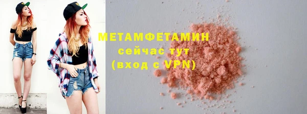 прущие грибы Гусиноозёрск