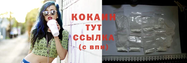 альфа пвп Гусь-Хрустальный