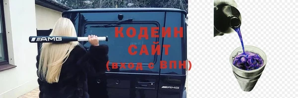 прущие грибы Гусиноозёрск