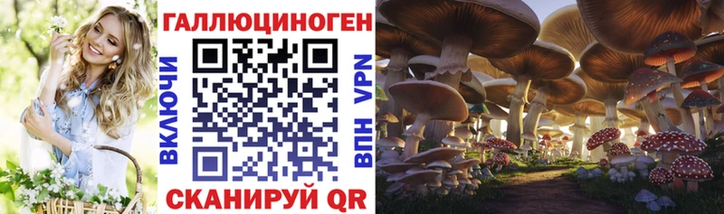 Купить  Куса  Псилоцибиновые грибы мицелий 